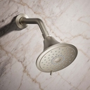 Forte 2.5 GPM Multi Function Shower Head - bht0mu8vtzuknllduncv@2x.jpg