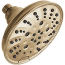 1.75 GPM Multi Function Shower Head - kpcdmxkjnzrzkfpygd56@2x.jpg