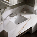 Iron Plains 18-9/16" Drop In Enameled Cast Iron Bathroom Sink with Overflow - tpdv621ba97f11qayohn@2x.jpg