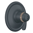 Single Handle ExactTemp Thermostatic Valve Trim Only from the ExactTemp Collection (Less Valve) - zt1ugyahlhumvucjddxd@2x.jpg