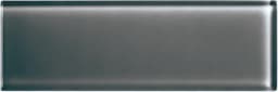 Color Appeal Charcoal Gray Rectangle 4X12 Glossy - AO_C121_4x12_CharcoalGray@2x.jpg