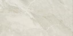 Mirasol Silver Marble Rectangle 12X24 Glossy - AO_ML72_12x24_SilverMarble@2x.jpg