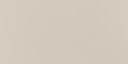 Neoconcrete Beige Square 24X24 Polished - AO_MN41_12x24_Beige_Matte@2x.jpg