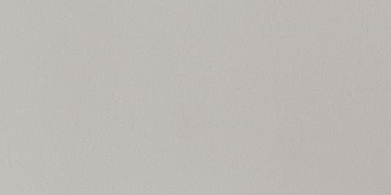 Neospeck Light Gray Rectangle 12X24 Matte - AO_MN43_12x24_LightGray_Matte@2x.jpg
