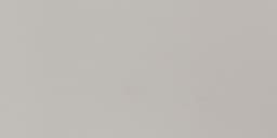 Neospeck Light Gray Rectangle 12X24 Matte - AO_MN43_12x24_LightGray_Matte@2x.jpg