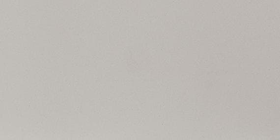 Neospeck Light Gray Rectangle 12X24 Matte - AO_MN43_12x24_LightGray_Polished@2x.jpg
