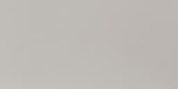 Neospeck Light Gray Rectangle 12X24 Matte - AO_MN43_12x24_LightGray_Polished@2x.jpg