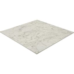 Mythique Marble Altissimo Rectangle 8X24 Matte - AO_MY10_24x24_Altissimo_MT_Angle@2x.jpg