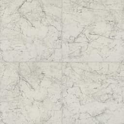 Mythique Marble Altissimo Rectangle 8X24 Matte - AO_MY10_24x24_Altissimo_MT_Grid@2x.jpg