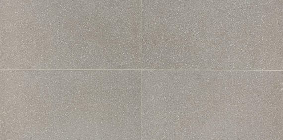Neospeck Light Gray Square 24X24 Polished - AO_NE03_12x24_LightGray@2x.jpg