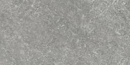 Solstice Spring Grey Hexagon 8X8 Matte - AO_ST33_4x8_Spring_Grey_Silo_02@2x.jpg