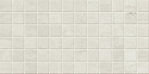 Stone Theory Notion Rectangle 6X18 Satin - AO_ST86_2x2_Msc_Notion_01_Silo@2x.jpg