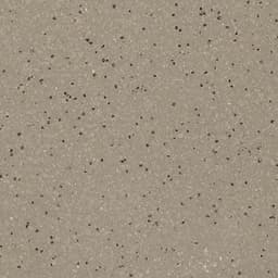 Quarry Textures Ashen Gray Square 8X8 Matte - DAL_0T03_8x8_AshenGray_AB_Detail@2x.jpg