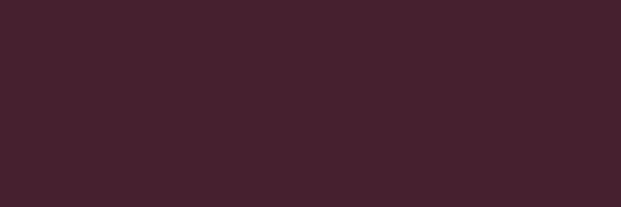 Color Wheel Classic Plum Crazy Rectangle 3X6 Glossy