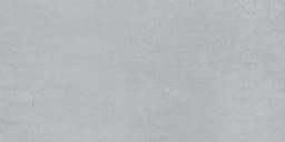 Diplomacy Light Grey Rectangle 24X48 Matte - DAL_CO24_12x24_LightGrey_Silo_01@2x.jpg
