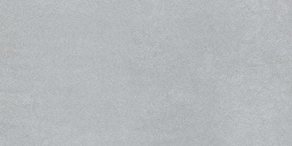 Diplomacy Light Grey Rectangle 24X48 Matte - DAL_CO24_12x24_LightGrey_Silo_01@2x.jpg