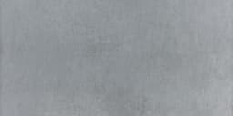 Diplomacy Light Grey Rectangle 24X48 Matte - DAL_CO25_24x48_Grey_POL_Silo_01@2x.jpg