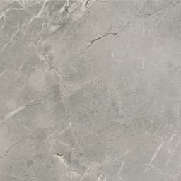 Platinum Dove Rectangle 6X18 Glossy - DAL_CT72_12x12_Dove_MT_Silo_01@2x.jpg