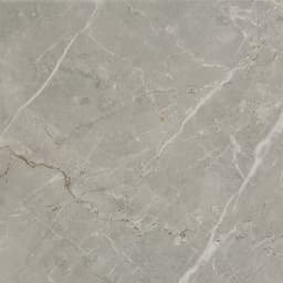 Platinum Dove Rectangle 6X18 Glossy - DAL_CT72_12x12_Dove_MT_Silo_03@2x.jpg