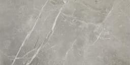 Platinum Dove Square 24X24 Matte - DAL_CT72_12x24_Dove_MT_Silo_01@2x.jpg