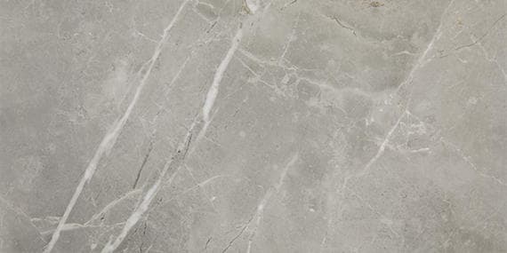 Platinum Dove Square 24X24 Matte - DAL_CT72_12x24_Dove_MT_Silo_01@2x.jpg