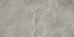 Platinum Dove Rectangle 6X18 Glossy - DAL_CT72_12x24_Dove_MT_Silo_03@2x.jpg