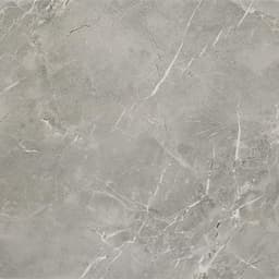 Platinum Dove Rectangle 6X18 Glossy - DAL_CT72_24x24_Dove_MT_Silo_01@2x.jpg