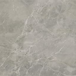 Platinum Dove Rectangle 6X18 Glossy - DAL_CT72_24x24_Dove_MT_Silo_03@2x.jpg