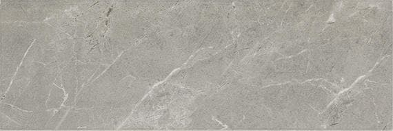 Platinum Dove Rectangle 6X18 Glossy - DAL_CT72_6x18_Dove_GL_Silo_01@2x.jpg