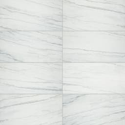 Platinum Oyster Rectangle 6X18 Glossy - DAL_CT74_12x24_Oyster_MT_Grid@2x.jpg