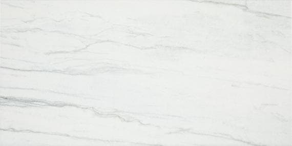 Platinum Oyster Rectangle 6X18 Glossy - DAL_CT74_12x24_Oyster_MT_Silo_01@2x.jpg