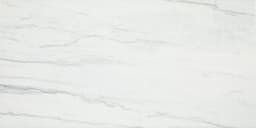 Platinum Oyster Rectangle 6X18 Glossy - DAL_CT74_12x24_Oyster_MT_Silo_01@2x.jpg
