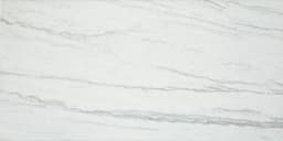 Platinum Oyster Rectangle 6X18 Glossy - DAL_CT74_12x24_Oyster_MT_Silo_02@2x.jpg