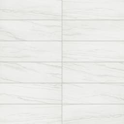 Platinum Oyster Rectangle 6X18 Glossy - DAL_CT74_6x18_Oyster_GL_Grid@2x.jpg
