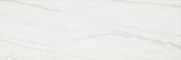 Platinum Oyster Rectangle 6X18 Glossy - DAL_CT74_6x18_Oyster_GL_Silo_01@2x.jpg