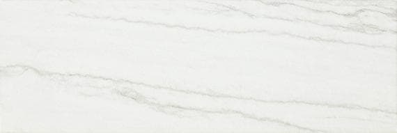 Platinum Oyster Rectangle 6X18 Glossy - DAL_CT74_6x18_Oyster_GL_Silo_02@2x.jpg