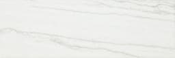 Platinum Oyster Rectangle 6X18 Glossy - DAL_CT74_6x18_Oyster_GL_Silo_02@2x.jpg