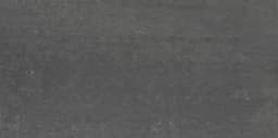 Fixture Coal Rectangle 24X48 Polished - DAL_FX24_12x24_CoalPL_Silo_01@2x.jpg