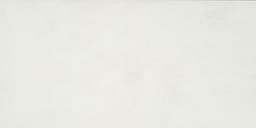 Color Wheel Classic White Rectangle 3X6 Glossy - DAL_PF02_12x24_White@2x.jpg