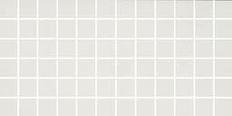 Color Wheel Classic White Rectangle 3X6 Glossy - DAL_PF02_2x2_Msc_White@2x.jpg