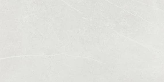 Platinum Cloud Rectangle 12X24 Glossy - DAL_PH60_12x24_Cloud_GL_Silo_01@2x.jpg