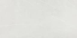Platinum Cloud Rectangle 12X24 Glossy - DAL_PH60_15x30_Cloud_MT_Silo_01@2x.jpg