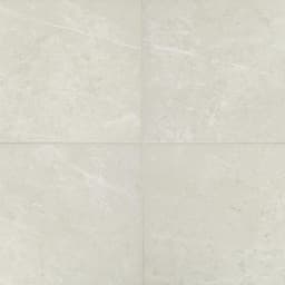 Prime Vitality White Square 12X12 Matte - DAL_RL20_12x12_VitalityWhite_web@2x.jpg