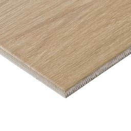 Platinum Loft Rectangle 8X48 Matte - DAL_TH10_8x48_Loft_MT_Corner@2x.jpg