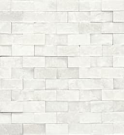 Marble First Snow Elegance Rectangle 3X6 Polished - DTN_M190_2x1_SplitFce_Msc@2x.jpg