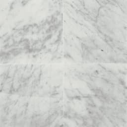 Marble Carrara White Hexagon 2X2 Polished - DTN_M701_12x12_CarraraWhite@2x.jpg