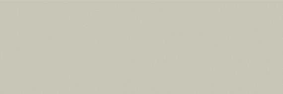 Hawthorne Scholarly Gray Rectangle 8X24 Glossy - MZ_HT17_4x12_Flat_ScholarlyGray@2x.jpg