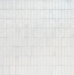 Uniche Bianco Rectangle 24X48 Matte - MZ_RC20_2x6_Bianco_Grid@2x.jpg
