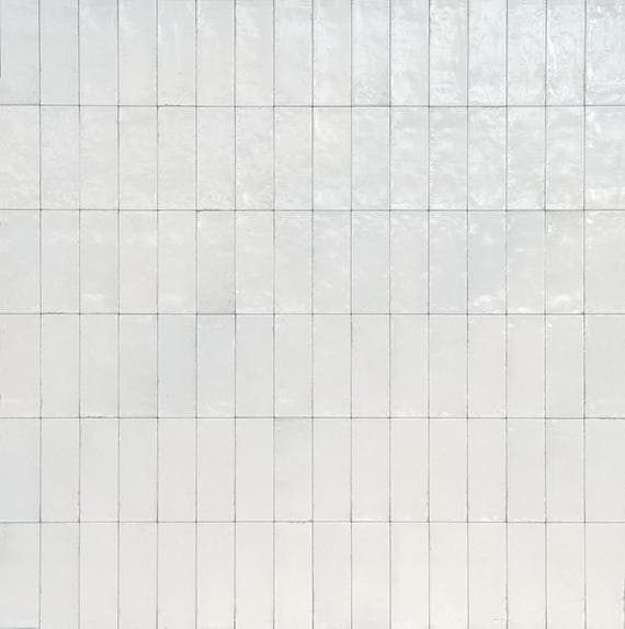 Uniche Bianco Rectangle 24X48 Matte - MZ_RC20_3x8_Bianco_Grid@2x.jpg