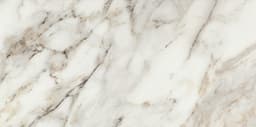 Savoir Cafe Rectangle 24X48 Polished - MZ_SV11_12x24_Cafe_MT_Silo_02@2x.jpg
